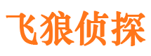 凤台市婚外情调查